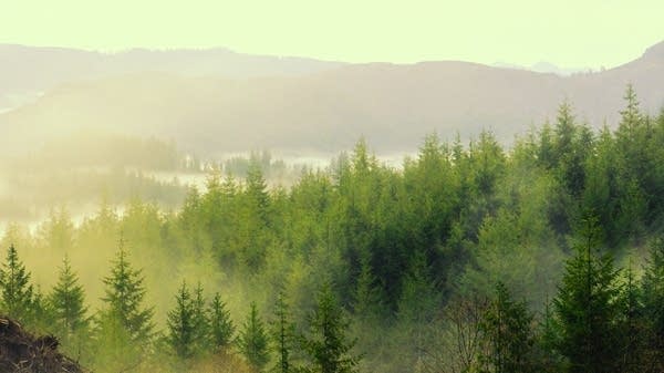 Listen: Replenish your spirit with a playlist of peaceful piano music