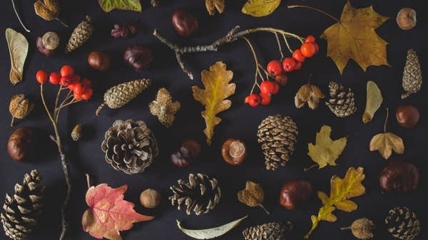 Poster Giving Thanks, an autumn tradition