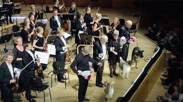 Poster Dogs perform Mozart