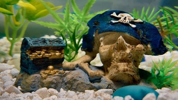 More Buried Treasures