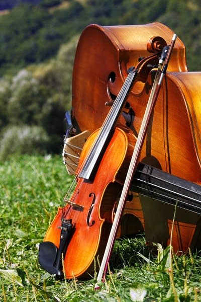 Violin and Cello