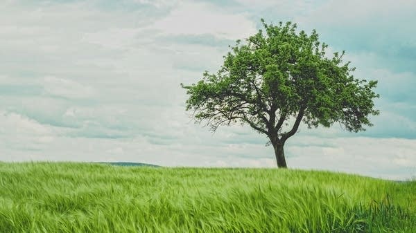 Clear your mind with a classical music playlist from Julie Amacher